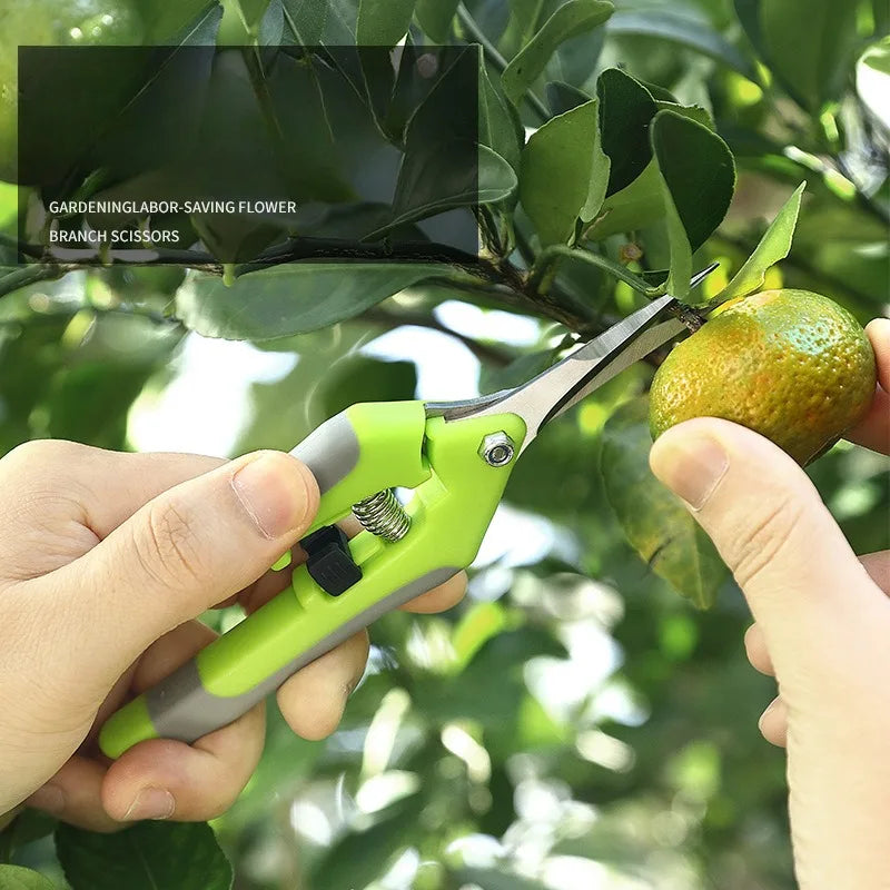 Garden Tools Secateurs