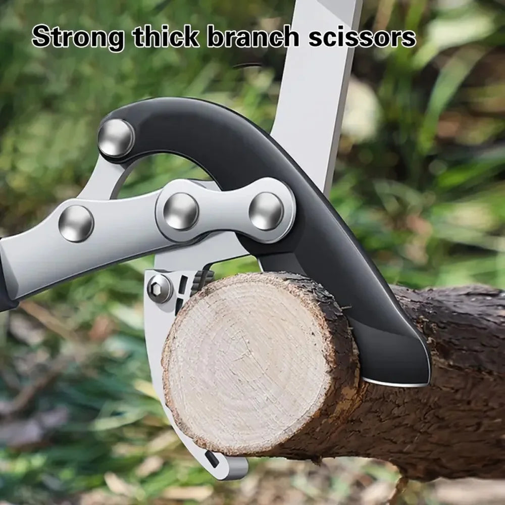 Telescopic Long Length Scissor