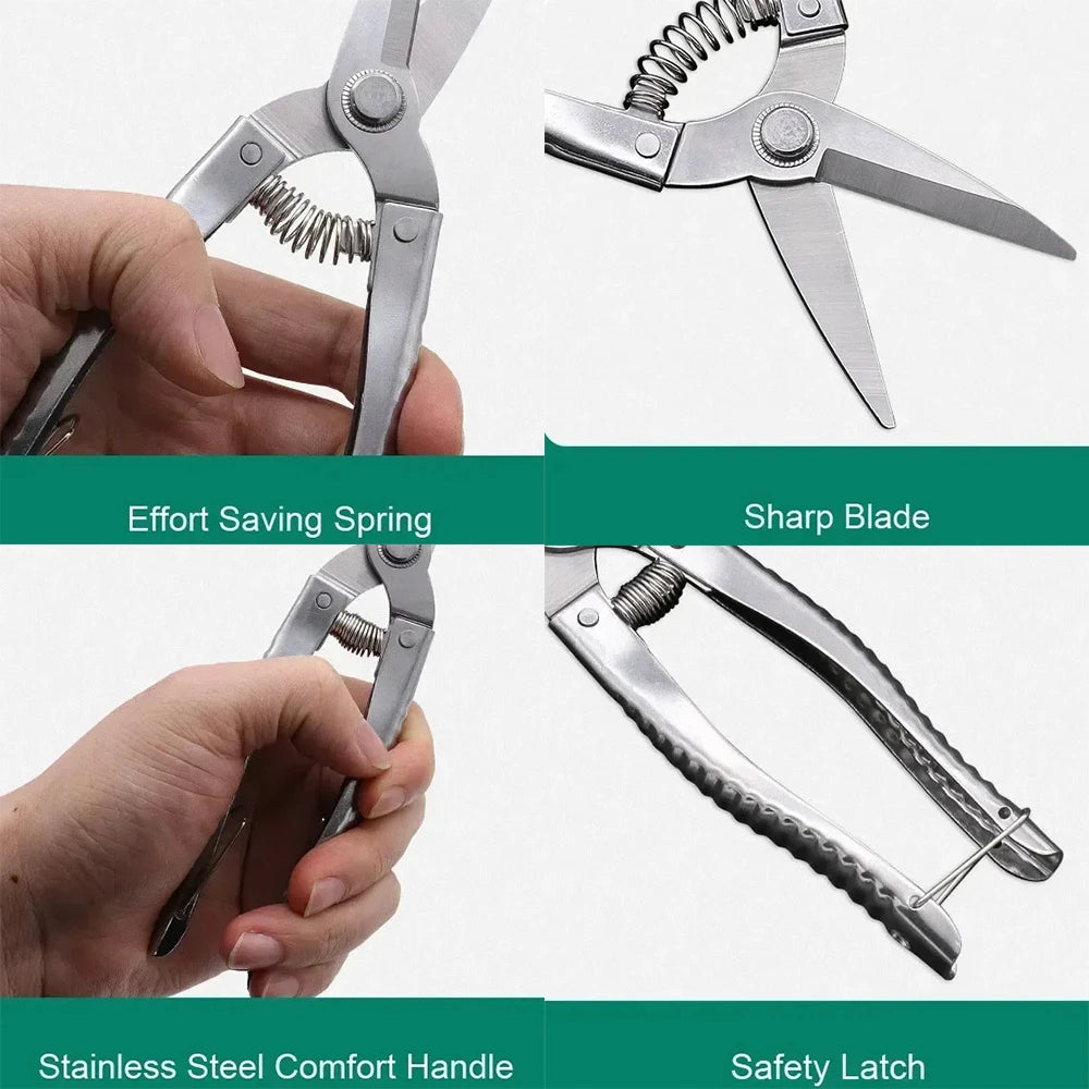 Stainless Steel Scissors