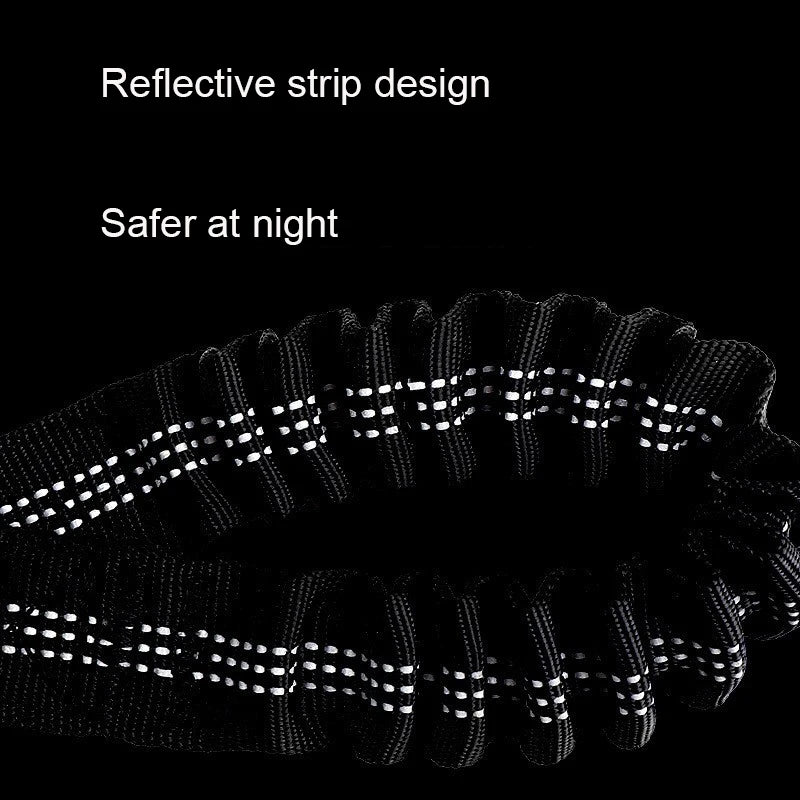 Pet Car Seat Belt
