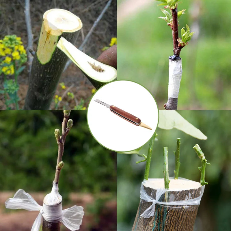 Grafting Cutter Tool