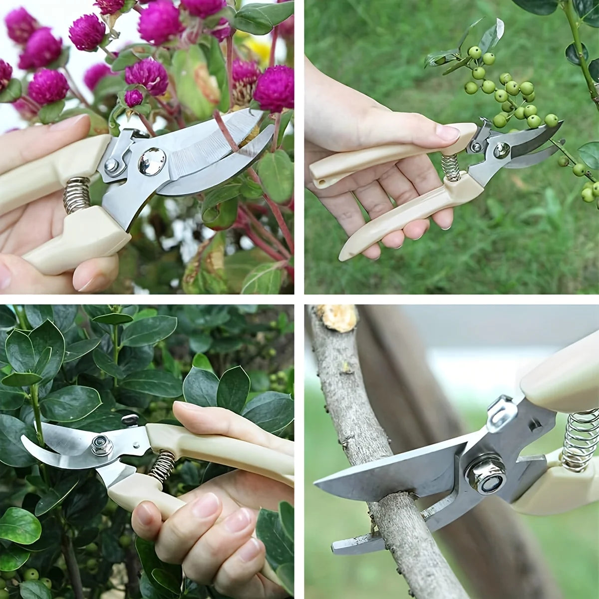 Stainless Steel Fruit Picking Shears