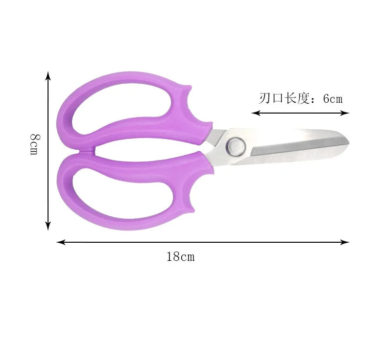 Stainless Steel Garden Scissors