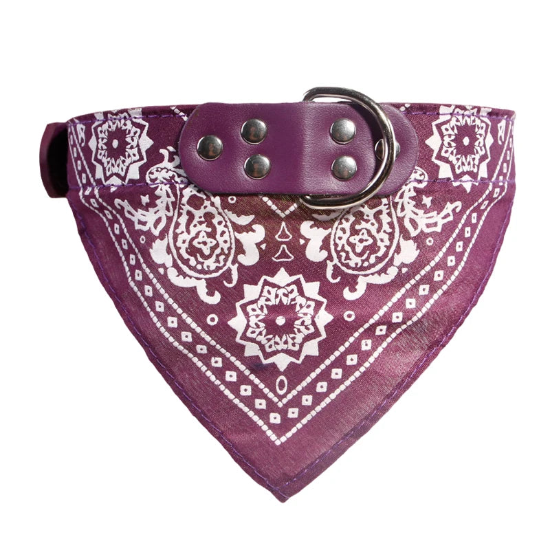 Dog Collar with Scarf