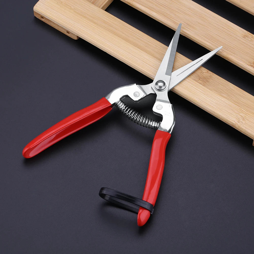 Fruit Tree Bonsai Gardening Pruning Shear