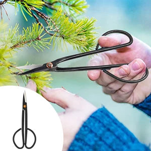 24 PCS Bonsai Tree Kit