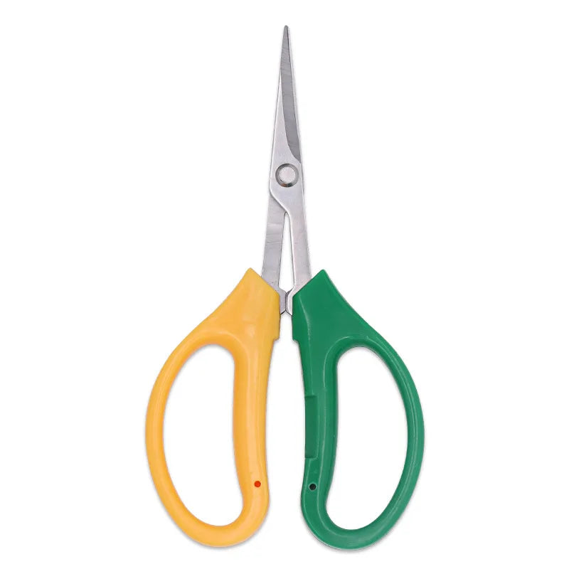 Whosesale Stainless Steel Fruit Grape Scissors