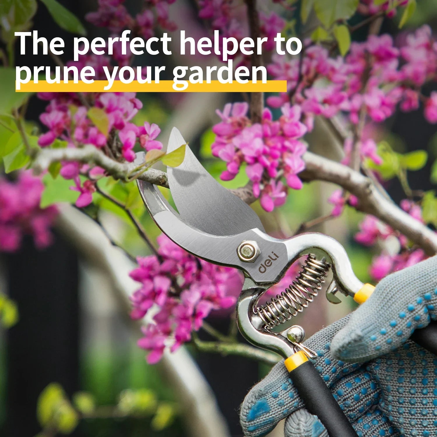 8 Inch Garden Pruner Shears