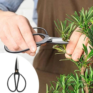 24 PCS Bonsai Tree Kit