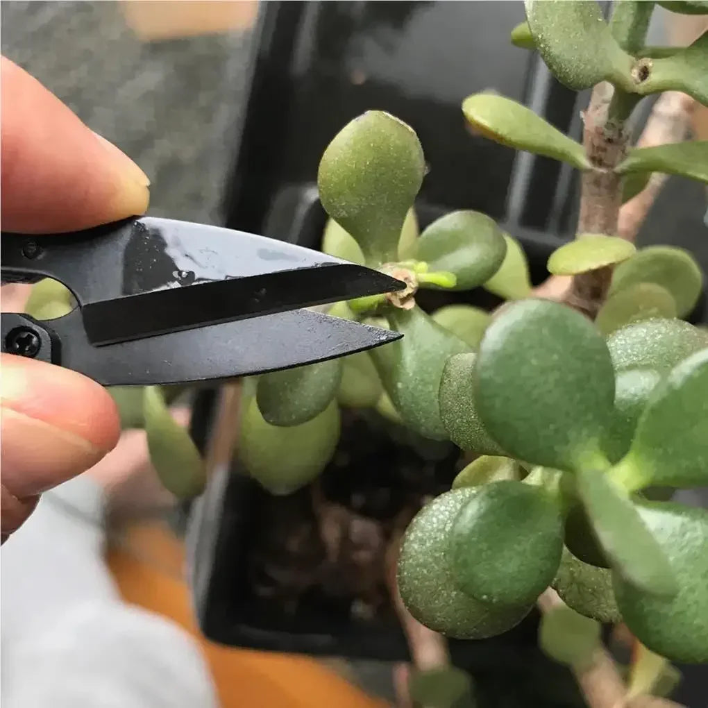 Pruning Shears Garden Trimming