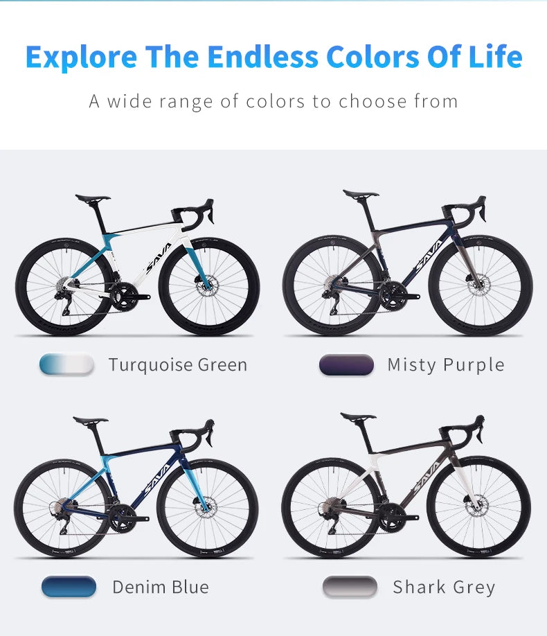Carbon Road Bike