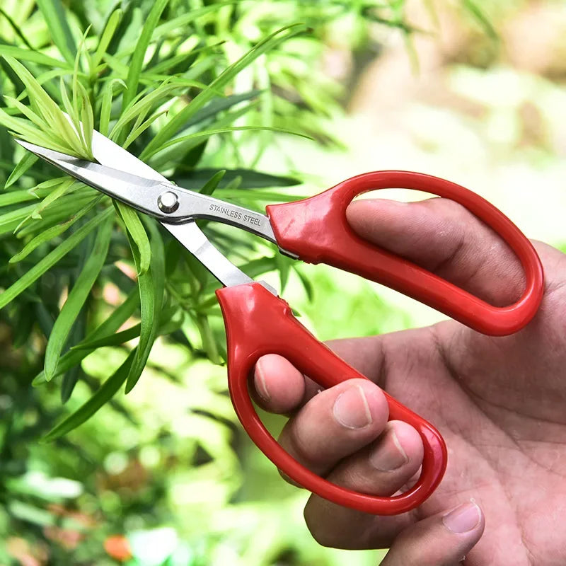 Stainless Steel Fruit Scissors