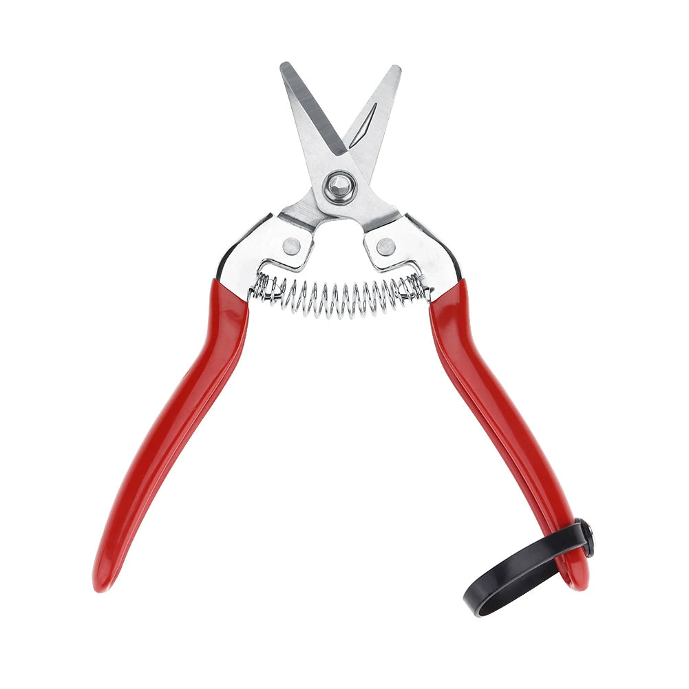 Fruit Tree Bonsai Gardening Pruning Shear