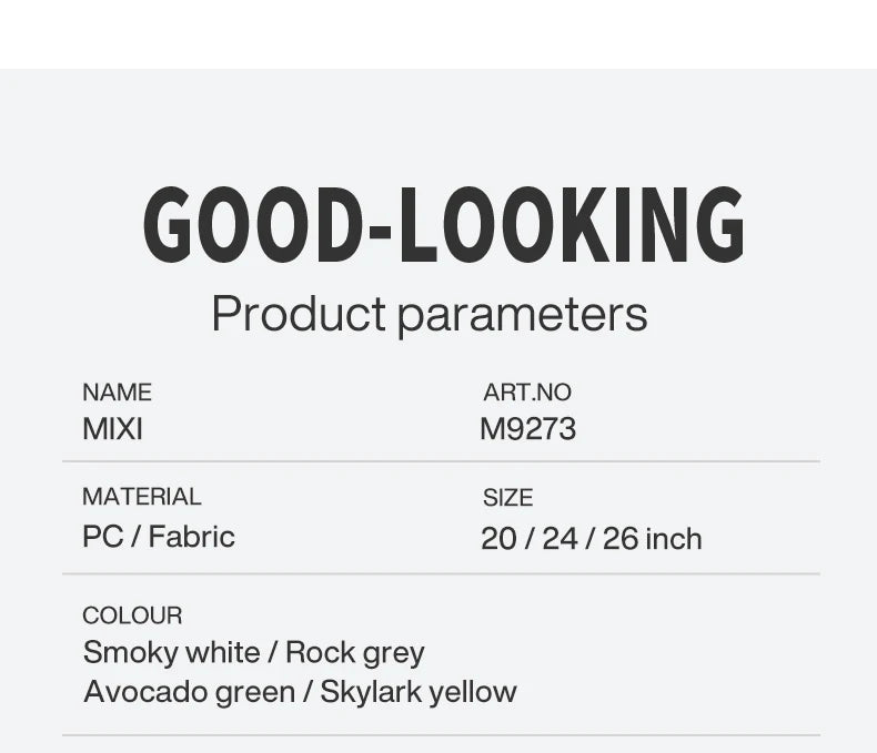 20 Inch Cabin Size Lightweight Luggage