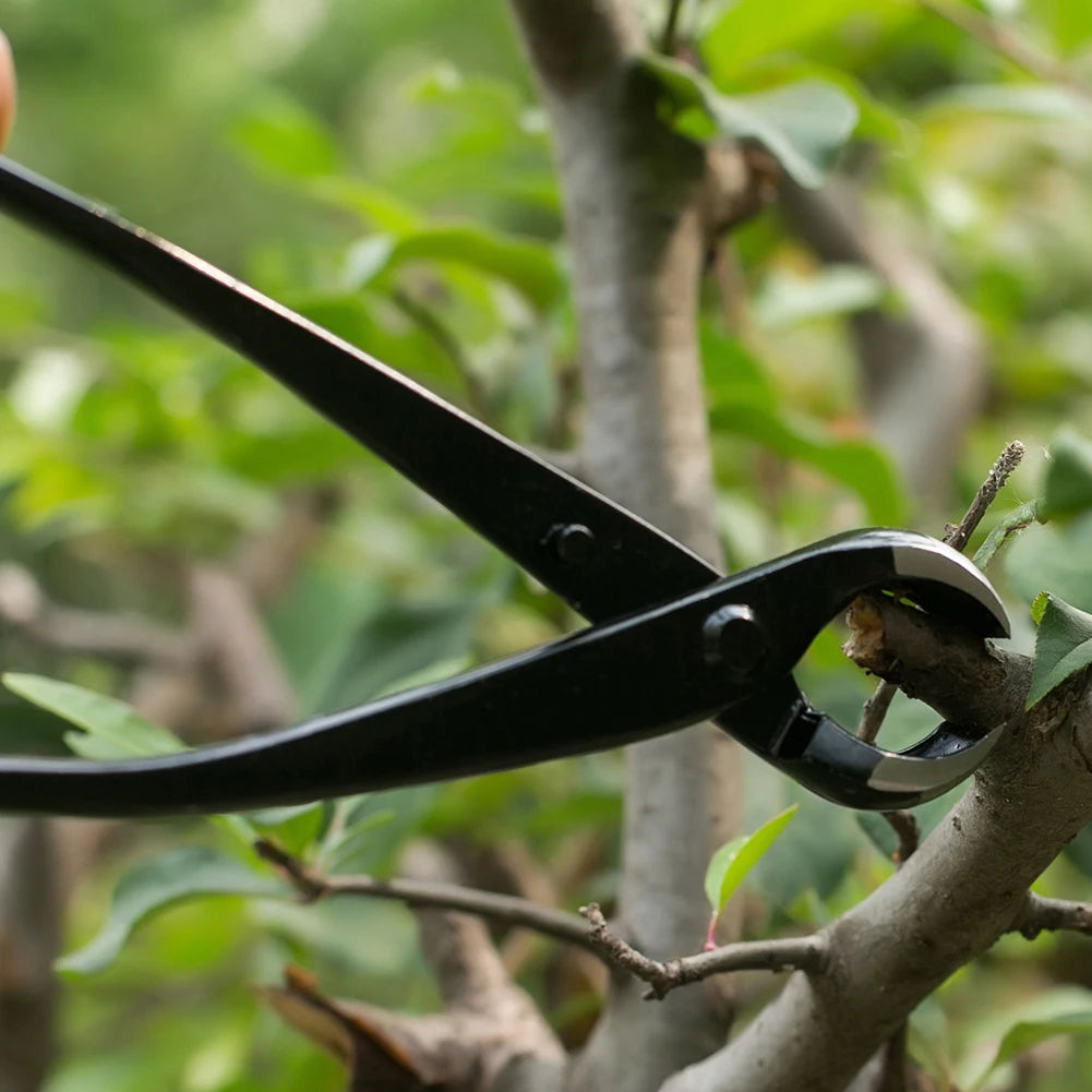 Gardening Maintenance Tools