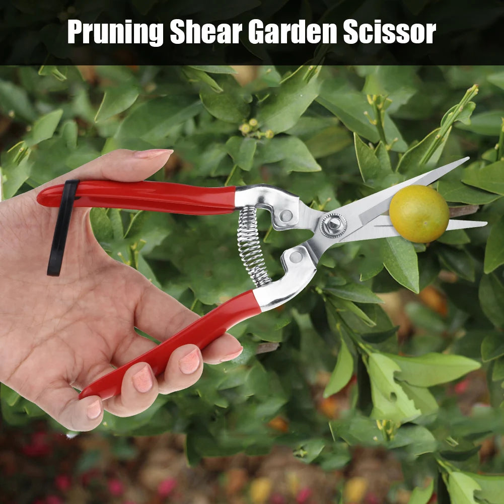 Fruit Tree Bonsai Gardening Pruning Shear