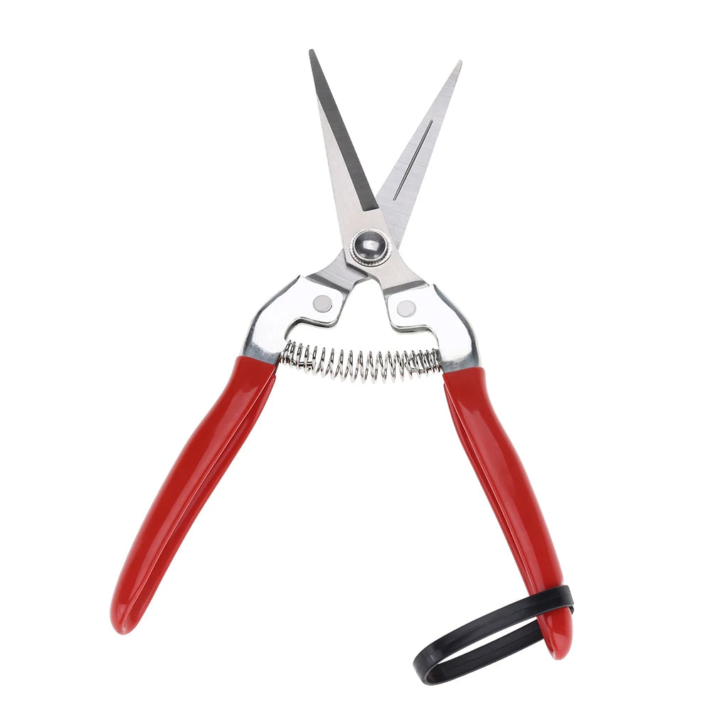 Fruit Tree Bonsai Gardening Pruning Shear