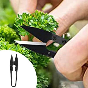 24 PCS Bonsai Tree Kit