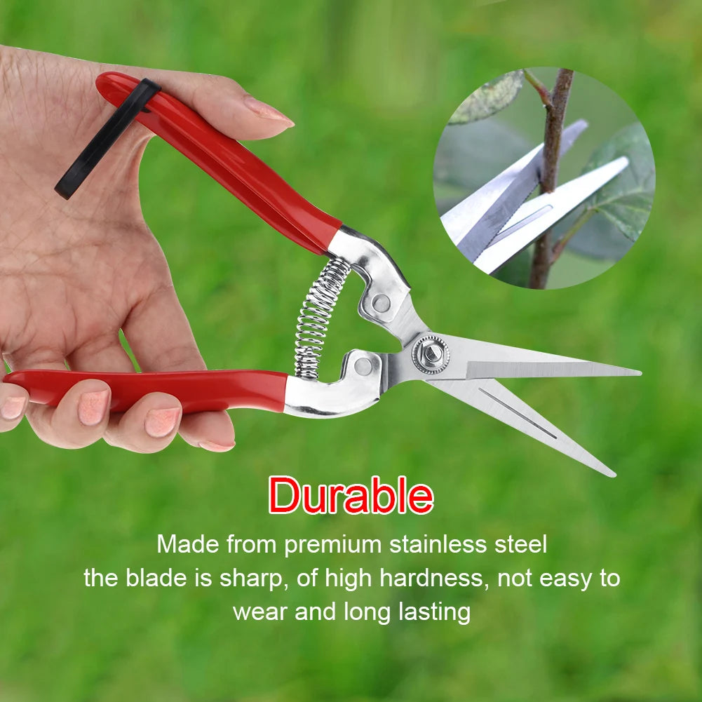 Fruit Tree Bonsai Gardening Pruning Shear