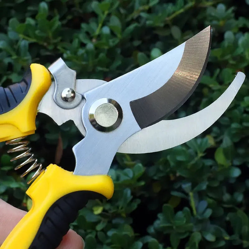 Stainless Steel Professional Gardening Shearing