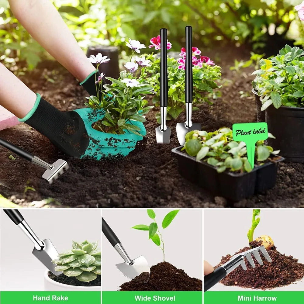 24 PCS Bonsai Tree Kit