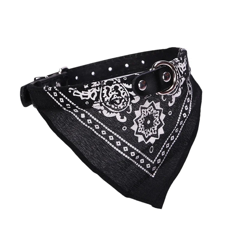 Dog Collar with Scarf
