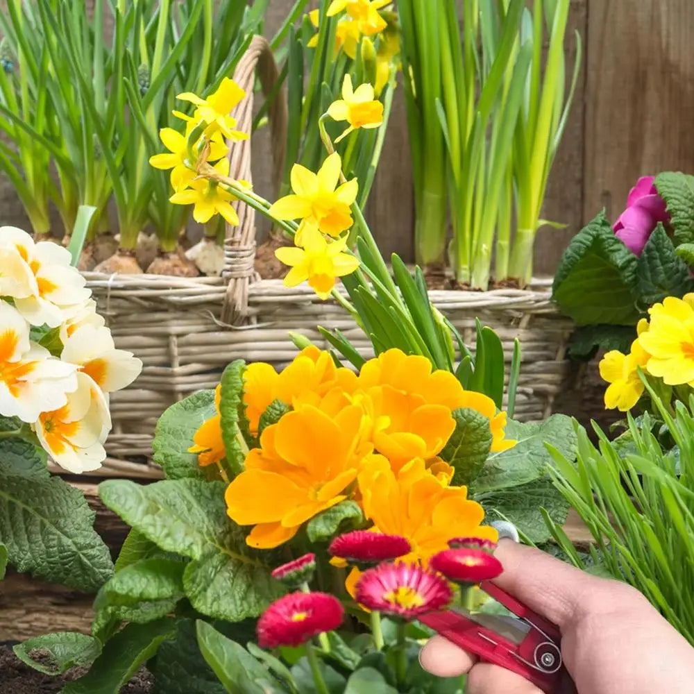 Gardening Thumb Pruner