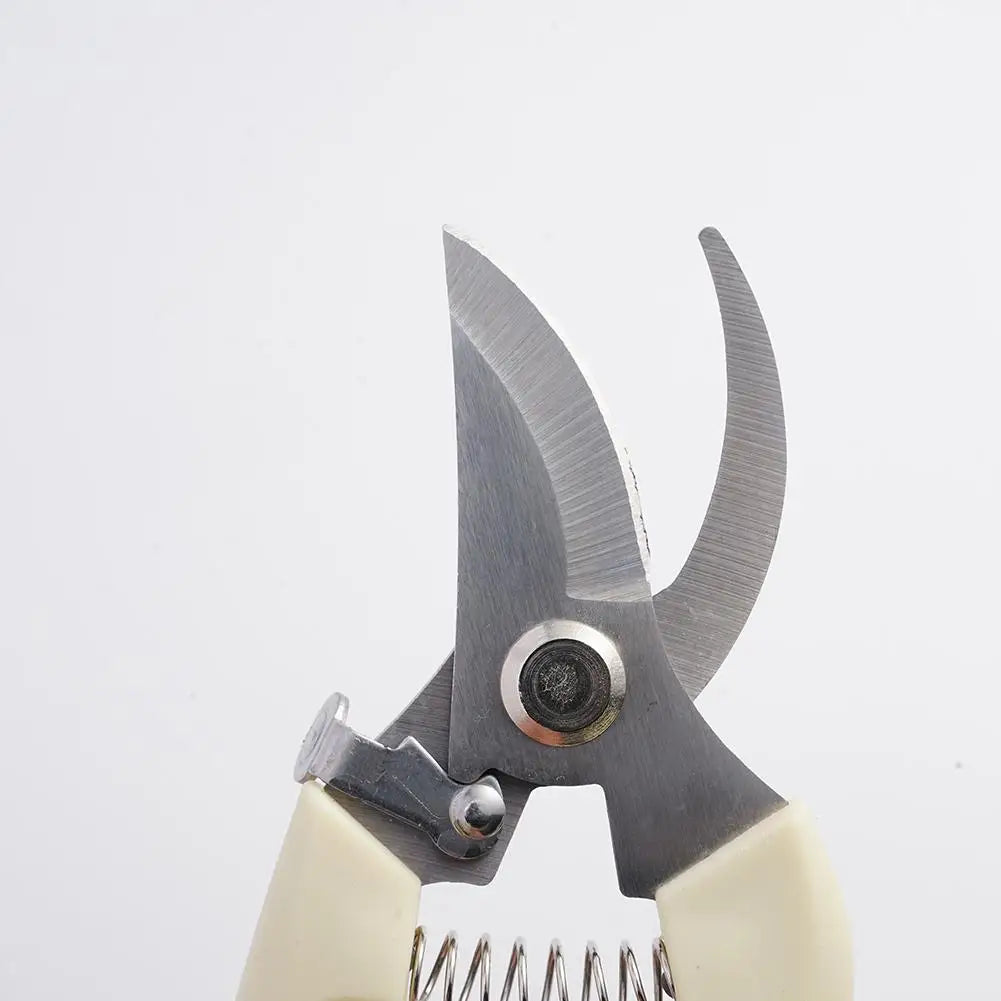 Professional Sharp Bypass Pruning Shears
