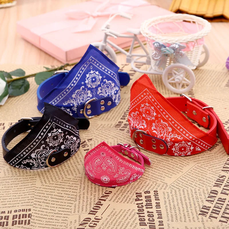 Dog Collar with Scarf