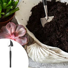 24 PCS Bonsai Tree Kit
