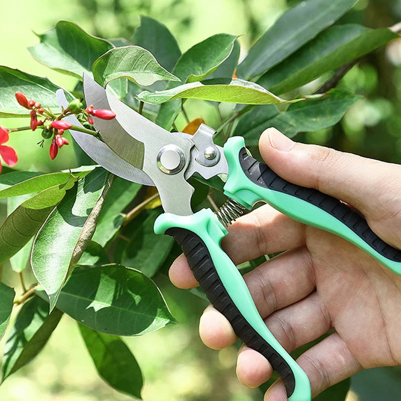 Garden Scissors