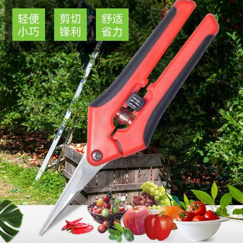 Powerful garden pruning scissors