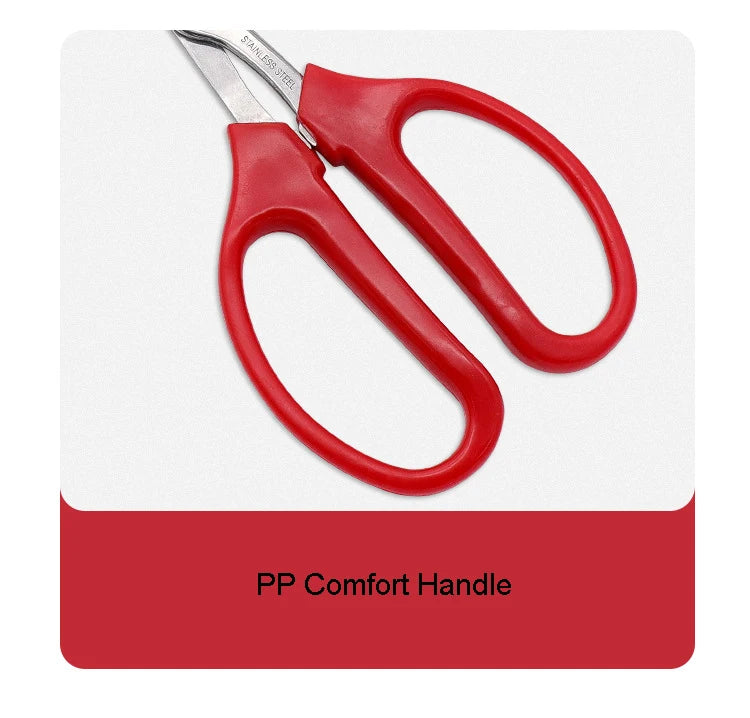 Whosesale Stainless Steel Fruit Grape Scissors