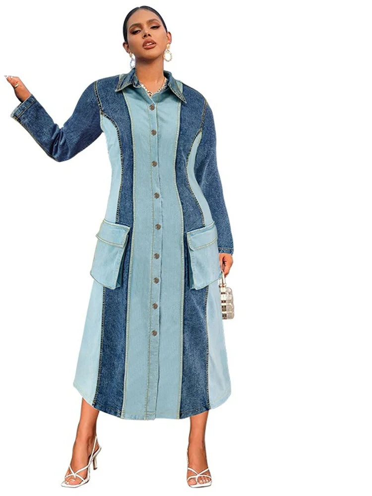 Women's Plus Size Denim Dress
