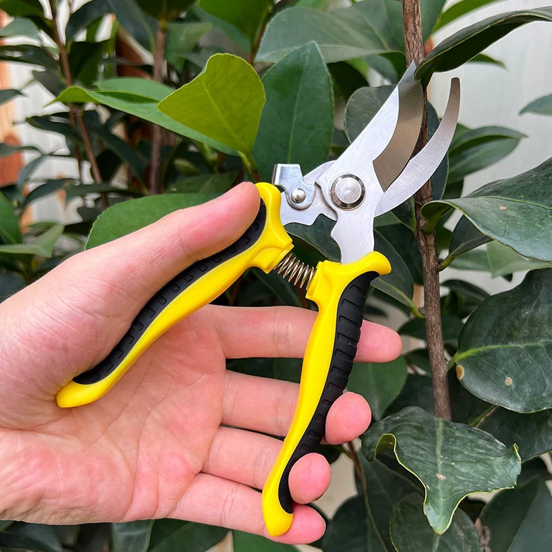Garden Scissors