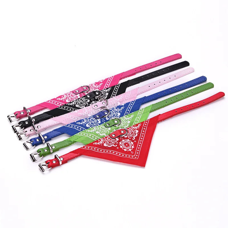 Dog Collar with Scarf