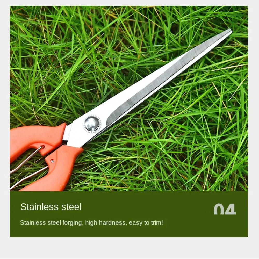 Garden Pruning Shears Stainless Steel Tools