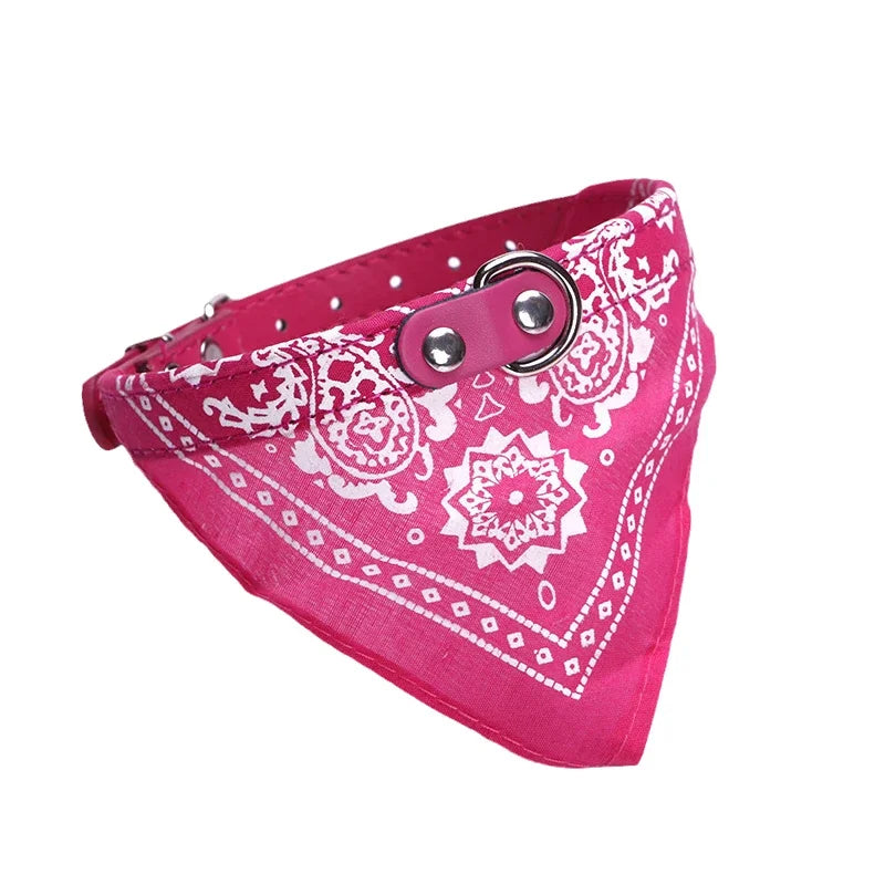Dog Collar with Scarf