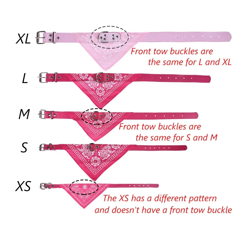 Dog Collar with Scarf