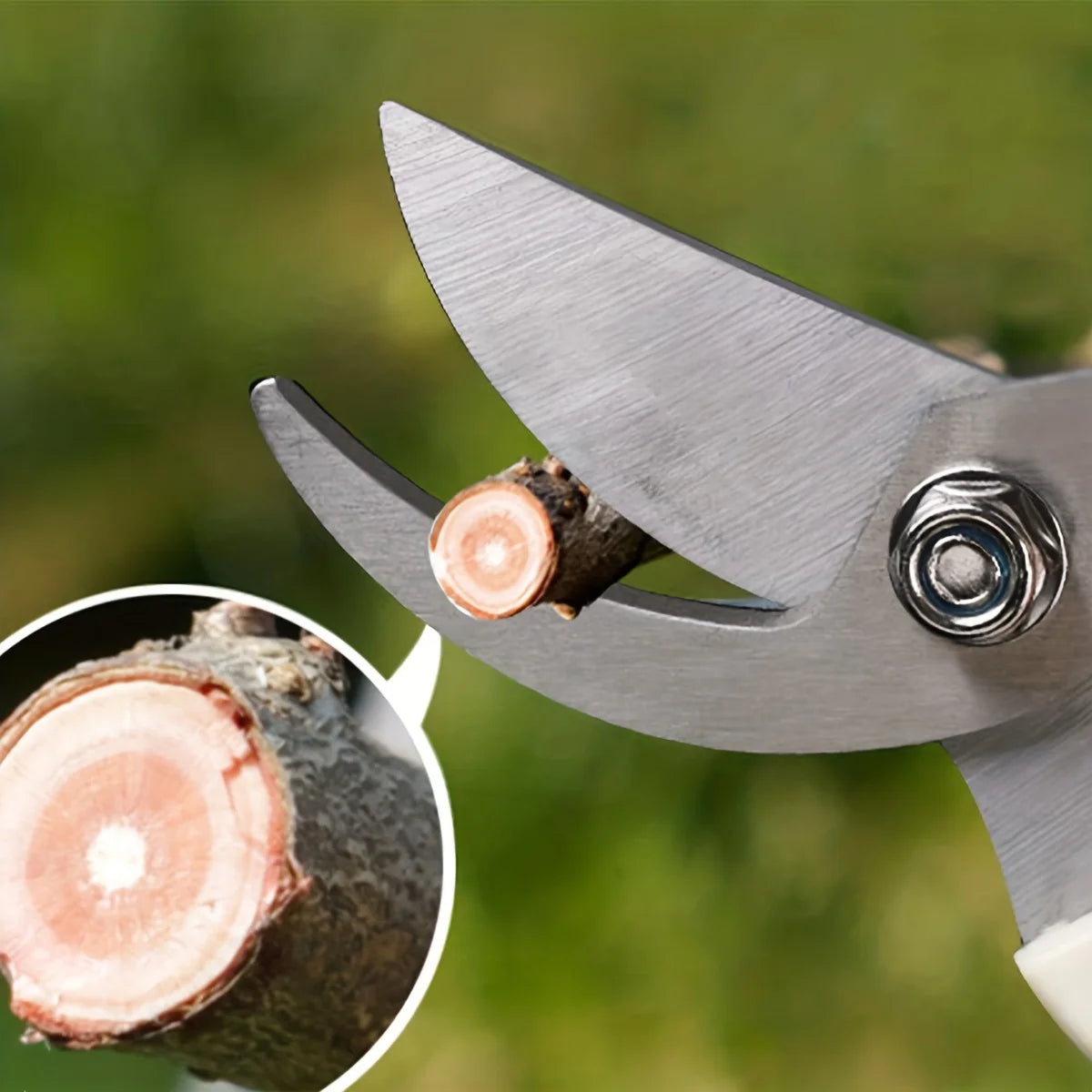 Stainless Steel Fruit Picking Shears