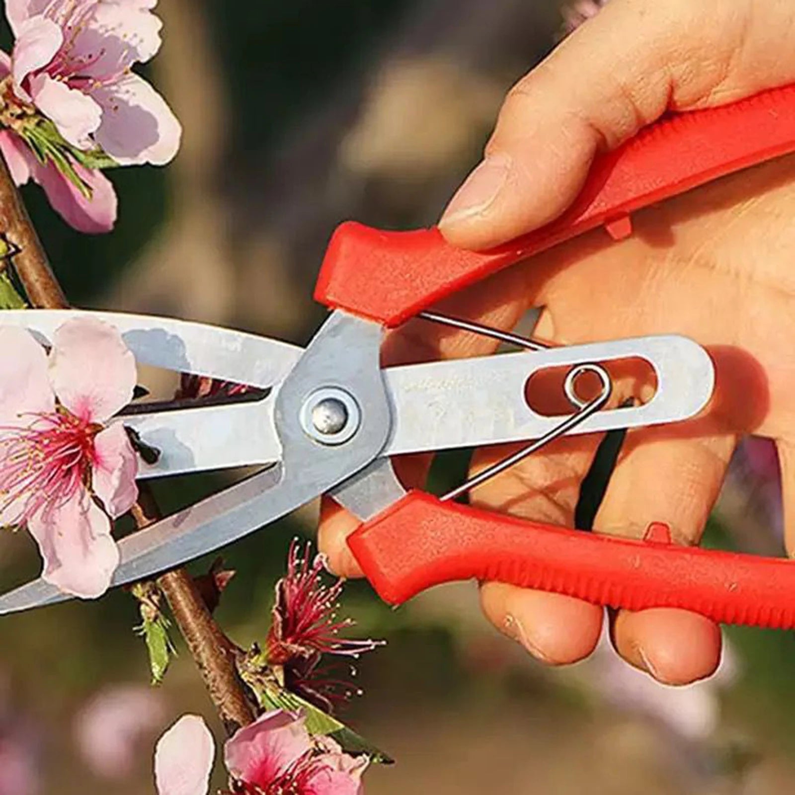 Double-edged Apple Picking Scissors
