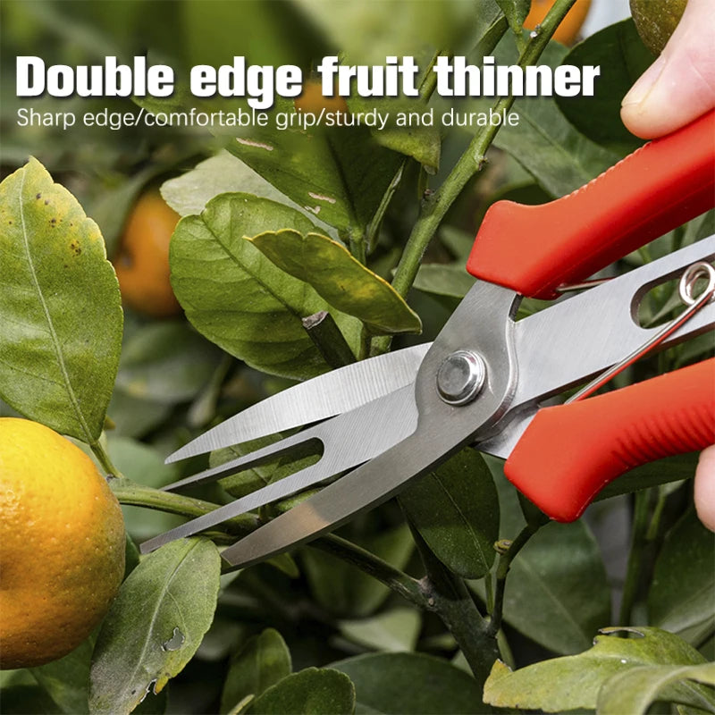 Double-port Fruit And Flower Thinning Shears