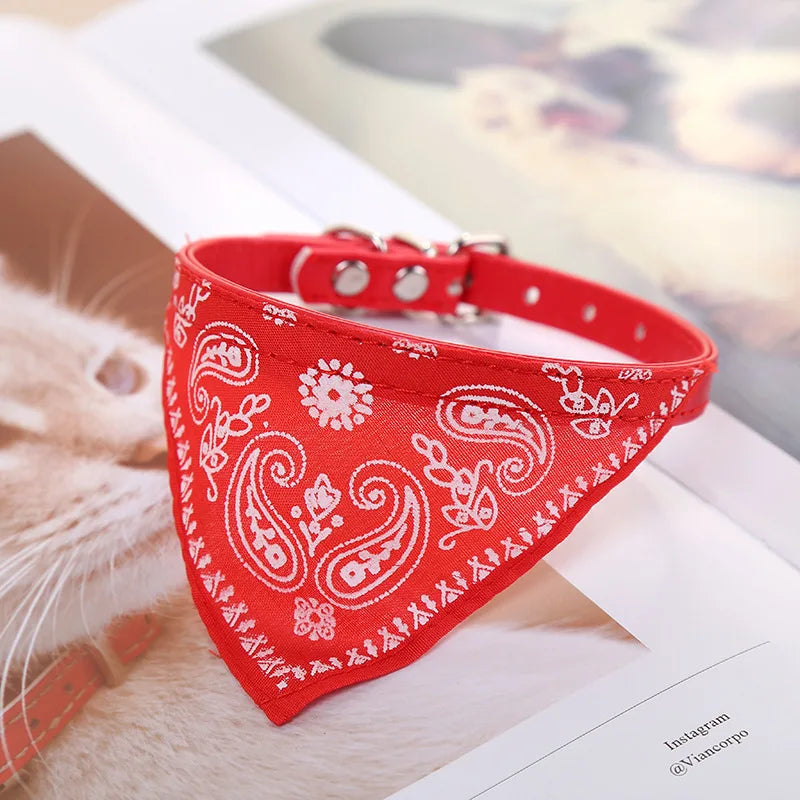 Dog Collar with Scarf