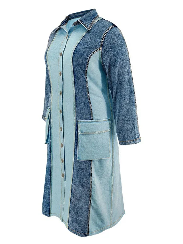 Women's Plus Size Denim Dress