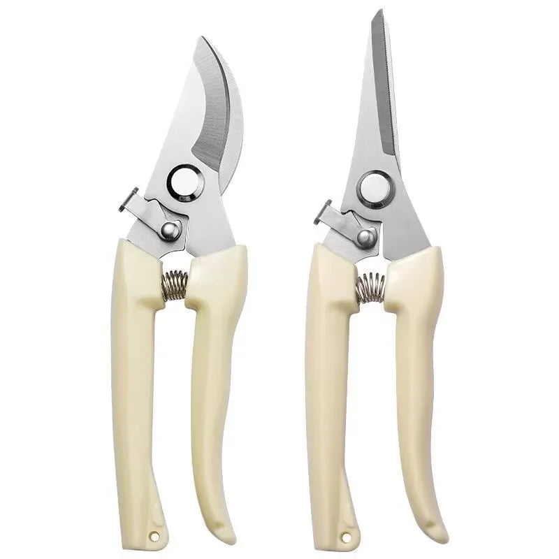 Stainless Steel Scissors Set
