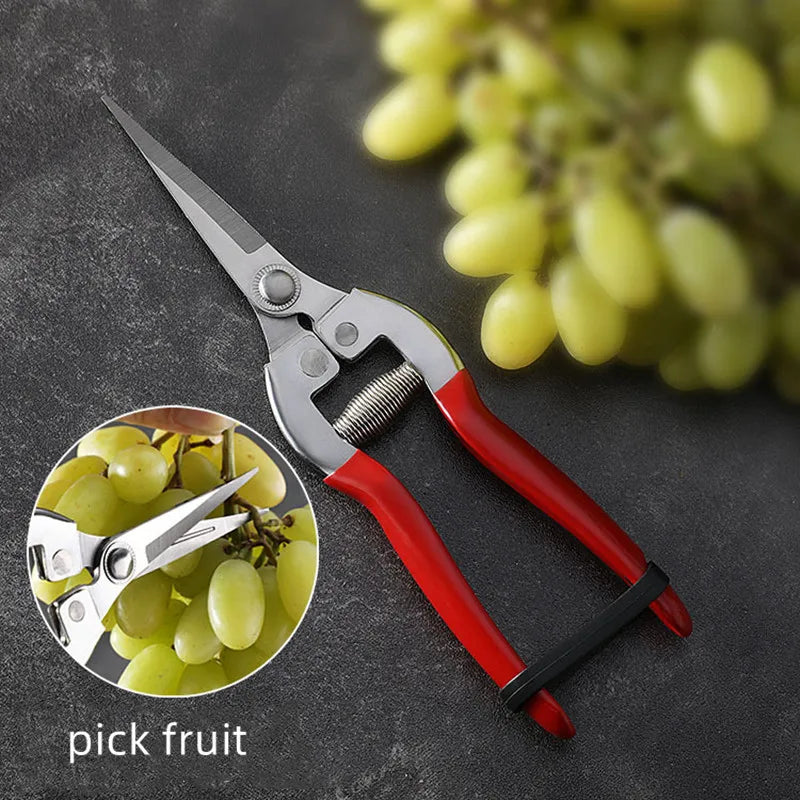 Gardening Hand Pruner