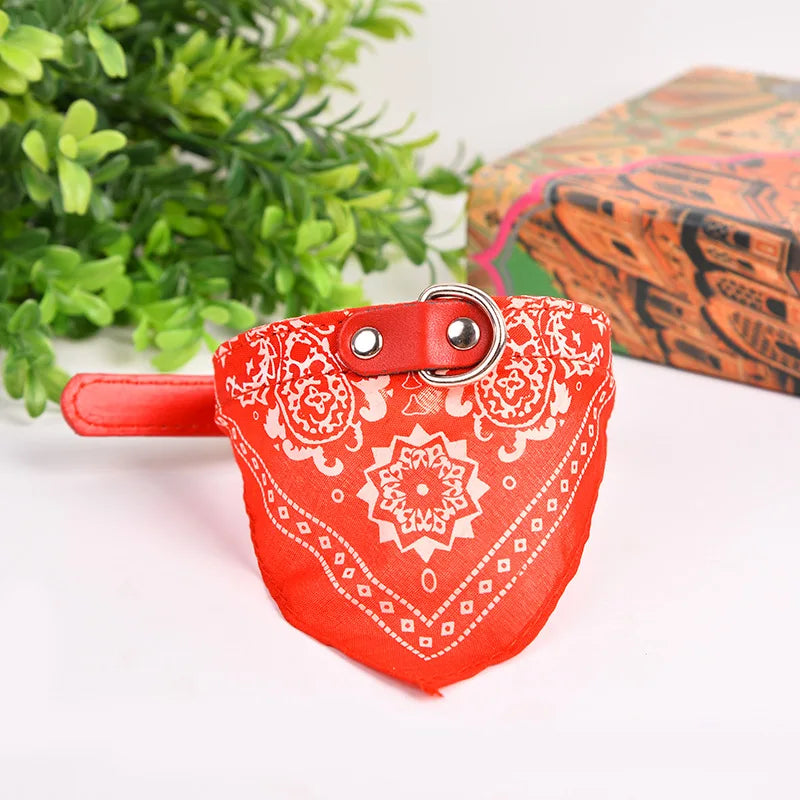 Dog Collar with Scarf