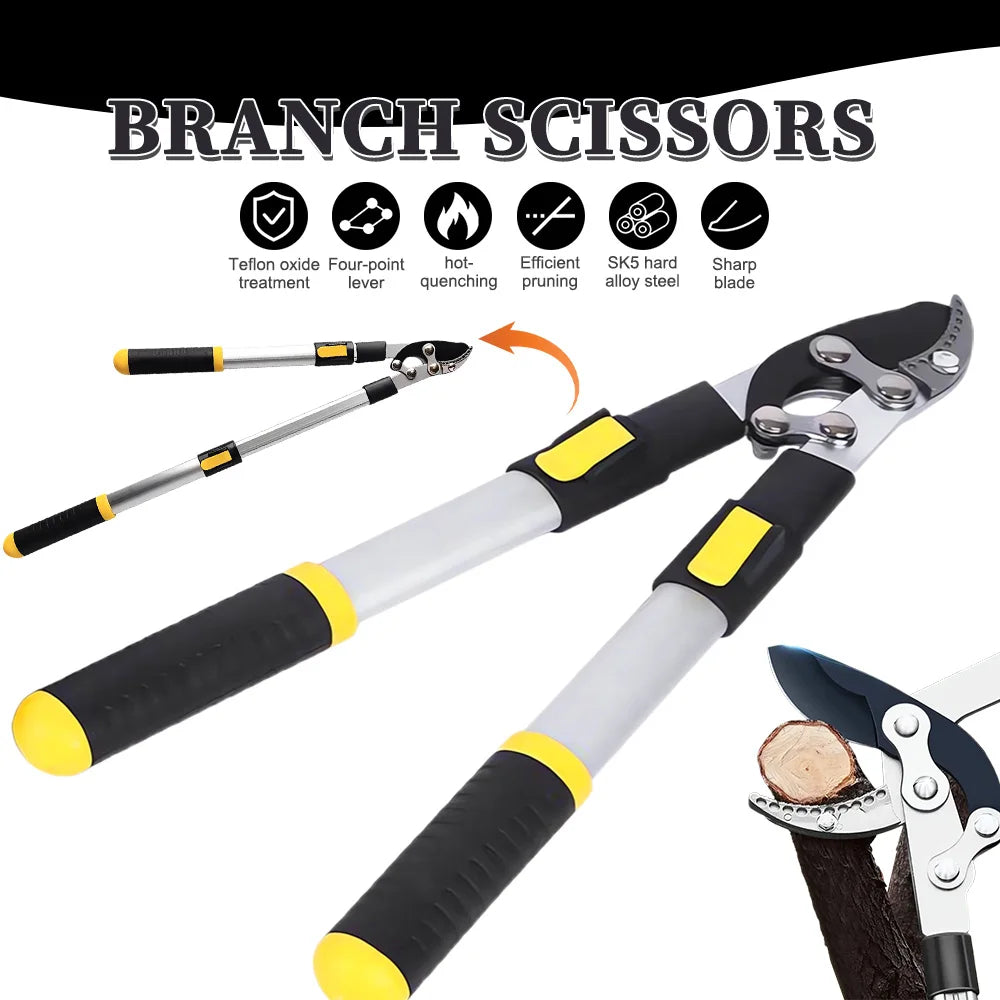 Telescopic Long Length Scissor
