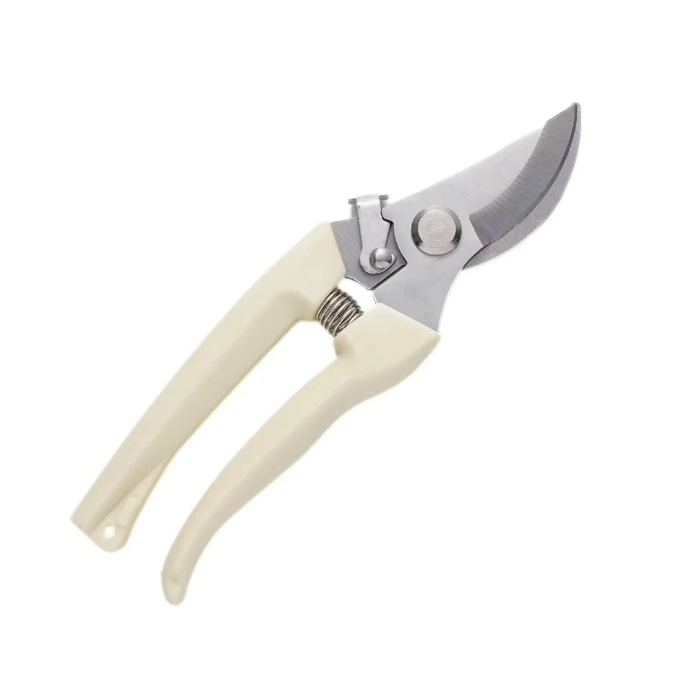 Stainless Steel Scissors Set