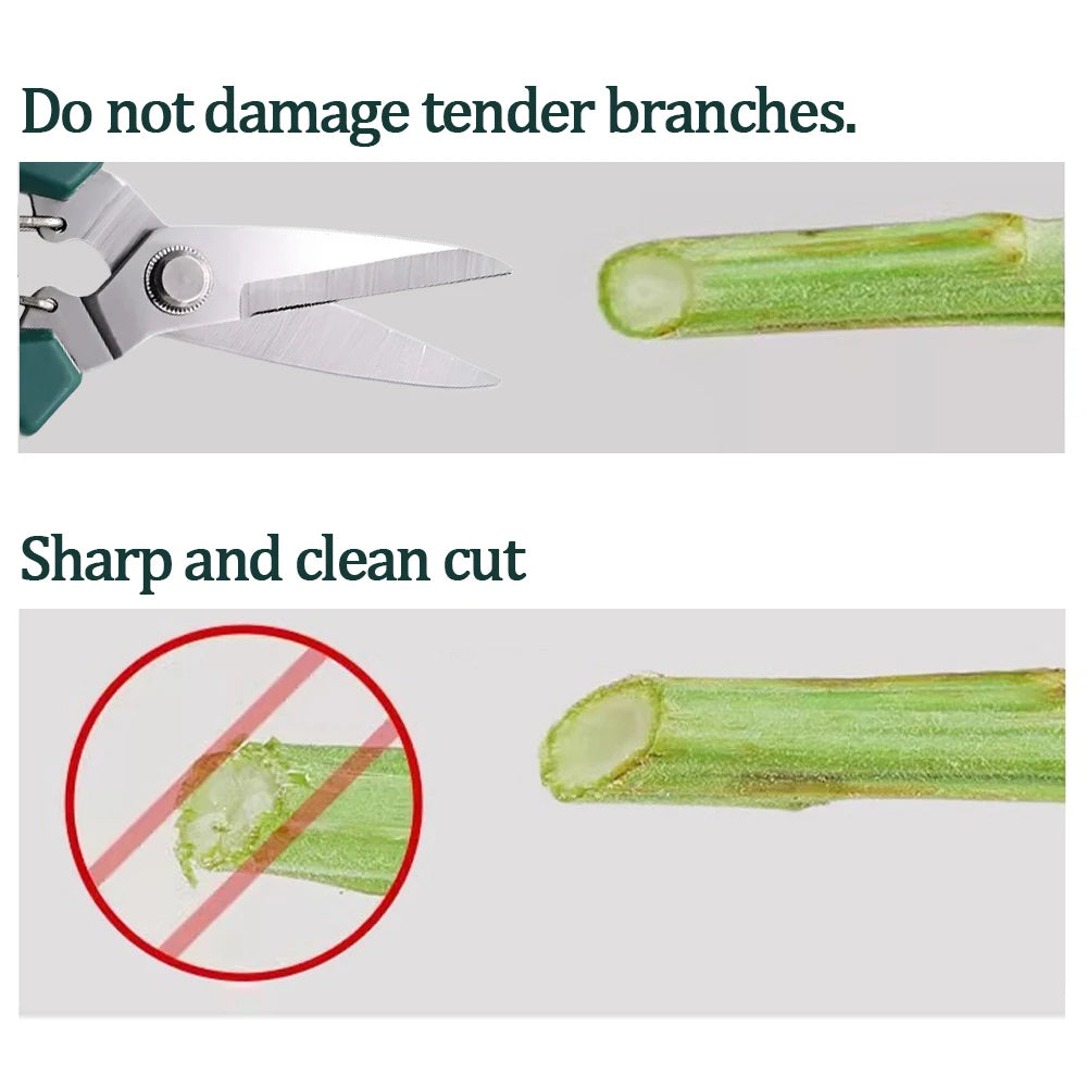 Stainless Steel Non Slip Handle Garden Scissors